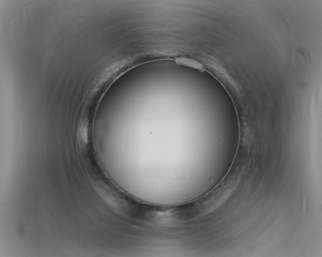 X0000115760068200911131205