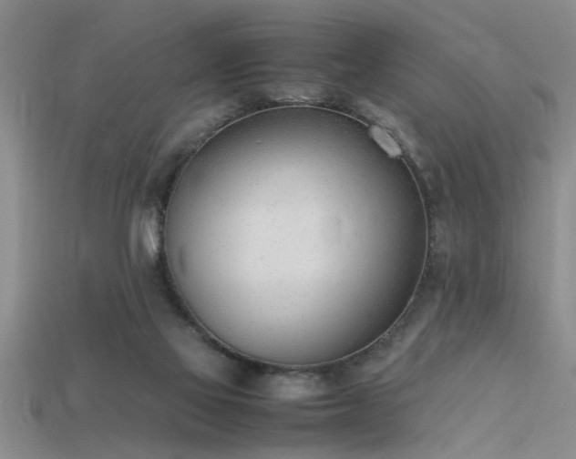 X0000115760069200911131205