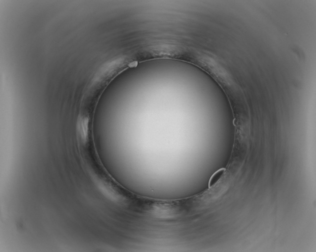 X0000115760070200911131205