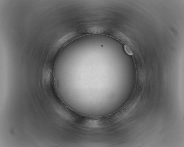 X0000115760071200911131205