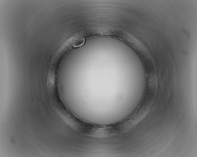 X0000115760072200911131205