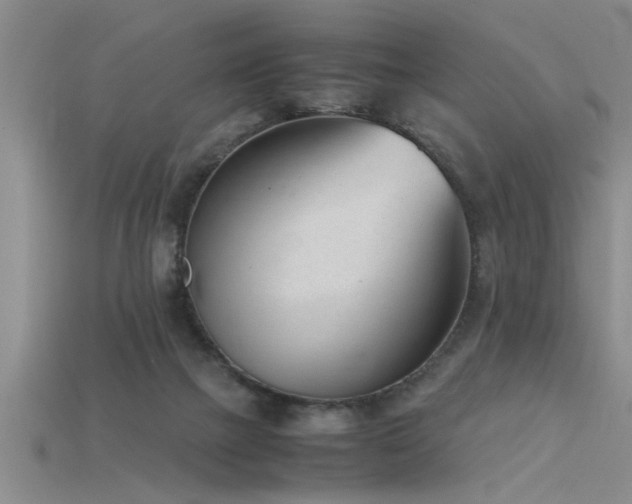 X0000115760073200911131205