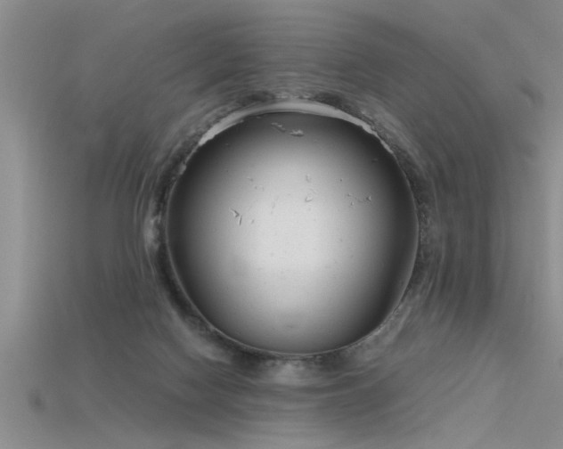 X0000115760074200911131205