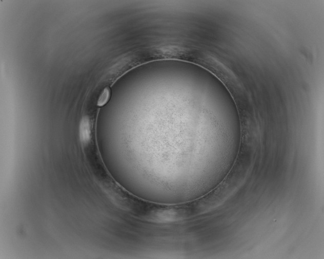 X0000115760075200911131205