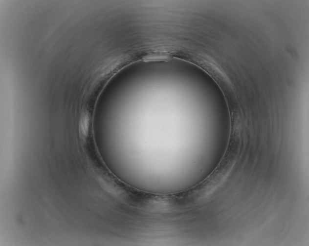 X0000115760076200911131205