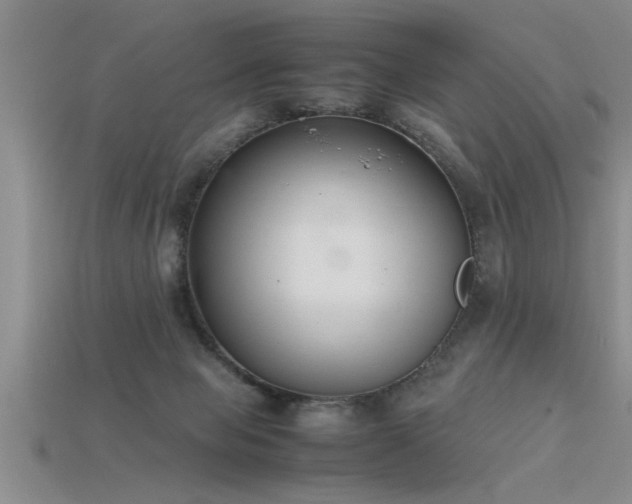 X0000115760077200911131205