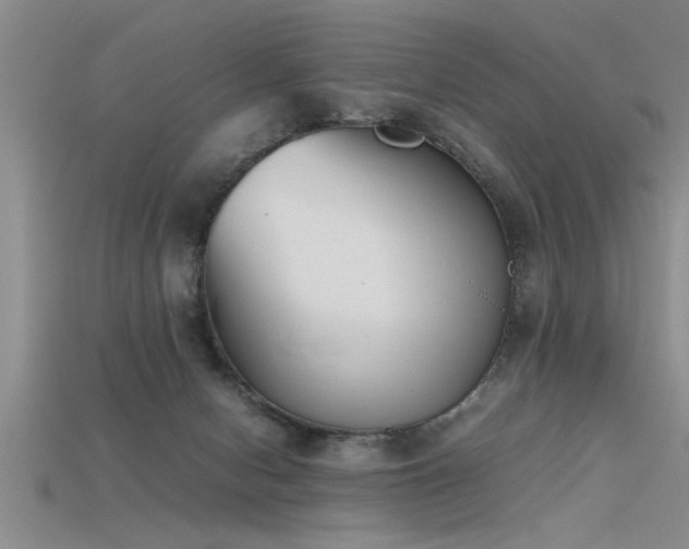 X0000115760078200911131205