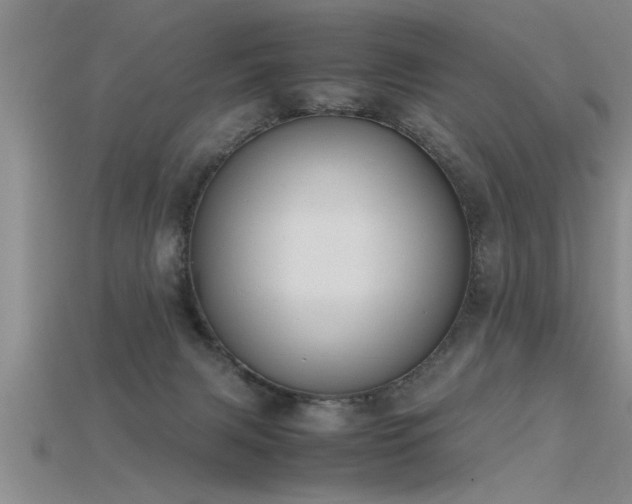 X0000115760079200911131205