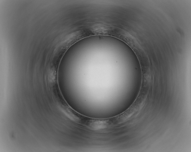 X0000115760081200911131205