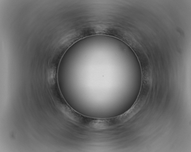 X0000115760082200911131205