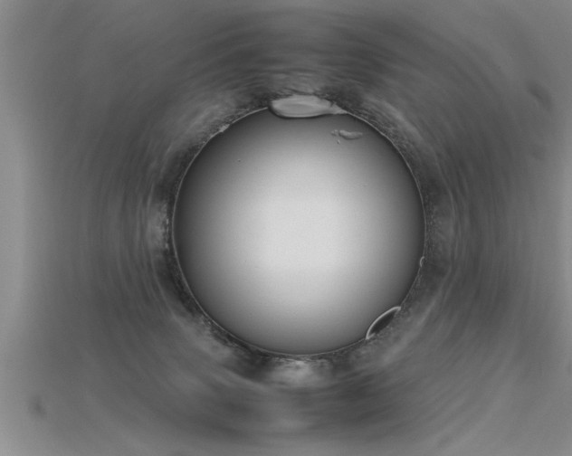 X0000115760083200911131205