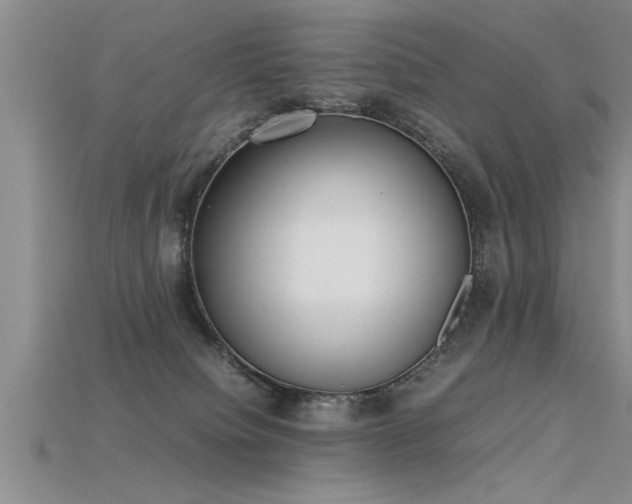 X0000115760084200911131205