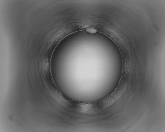 X0000115760085200911131205