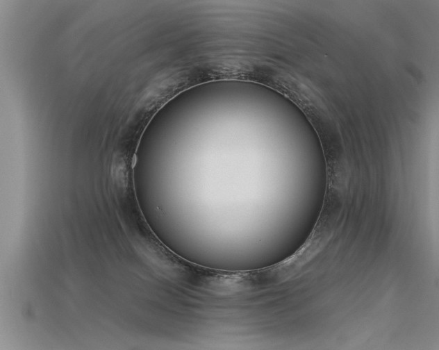 X0000115760086200911131205