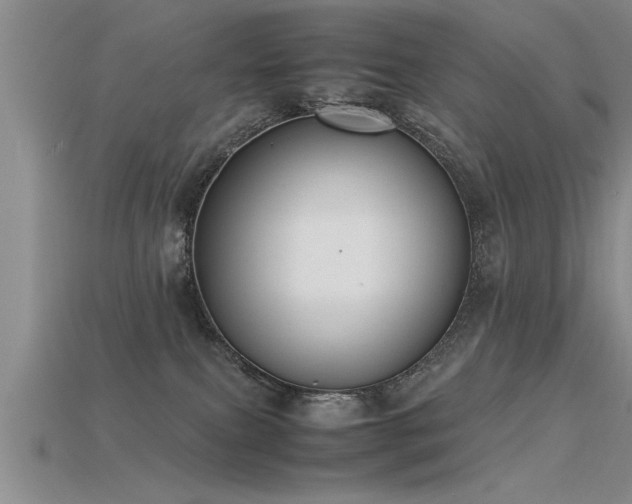 X0000115760087200911131205