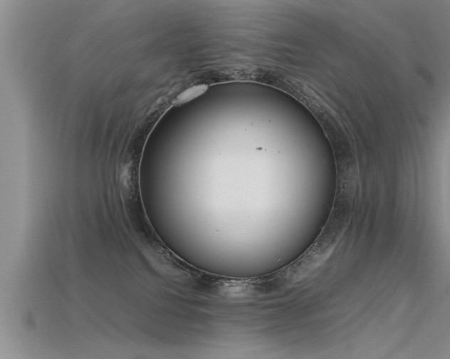 X0000115760088200911131205