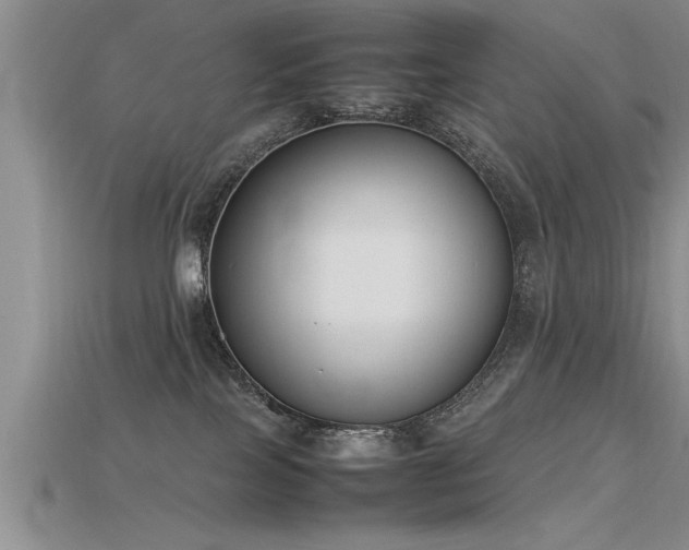 X0000115760089200911131205
