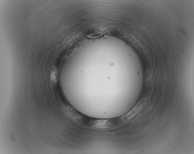 X0000115760090200911131205