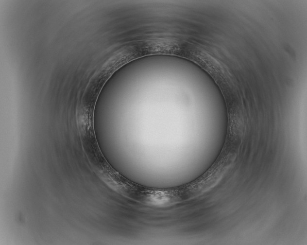 X0000115760091200911131205
