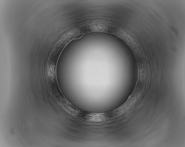 X0000115760093200911131205
