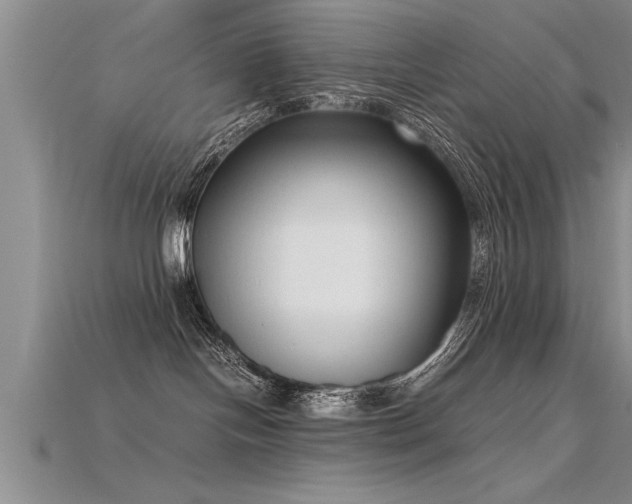 X0000115760094200911131205