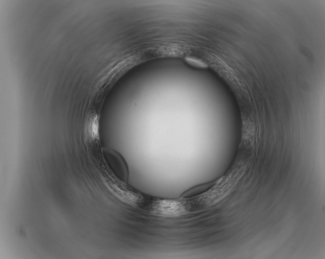 X0000115760095200911131205