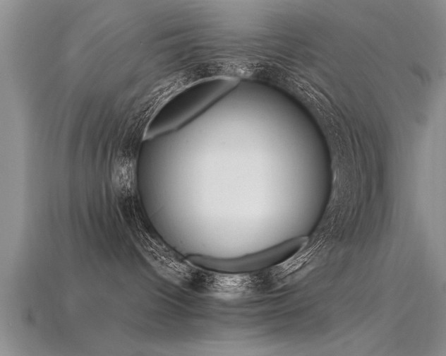 X0000115760096200911131205