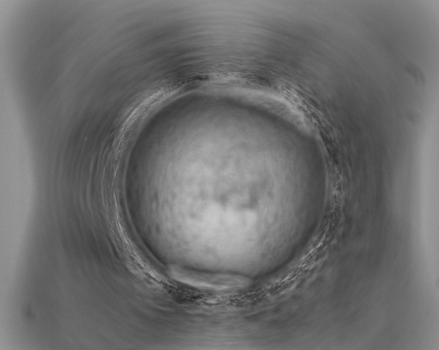 X0000115760097200911131204