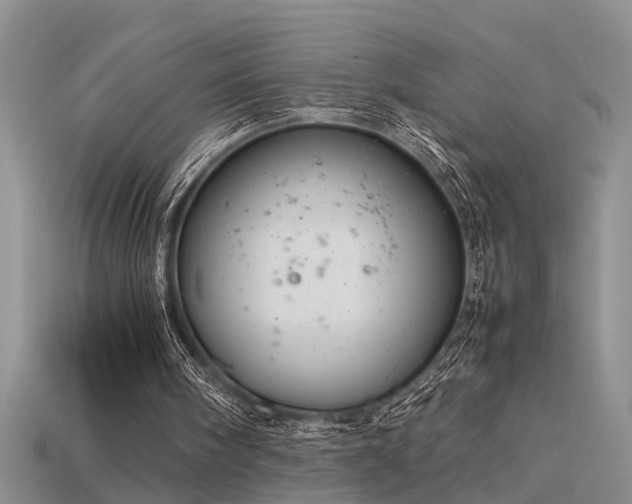 X0000115760098200911131204
