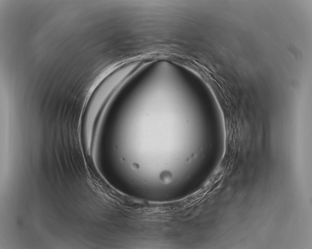 X0000115760100200911131204