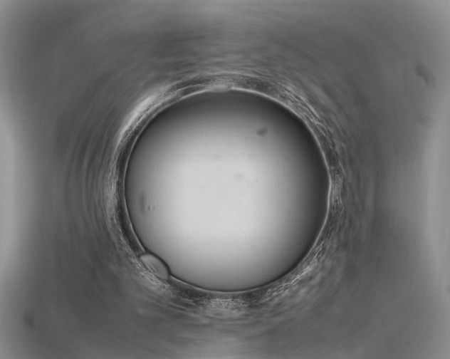 X0000115760101200911131204