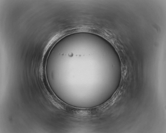 X0000115760102200911131204
