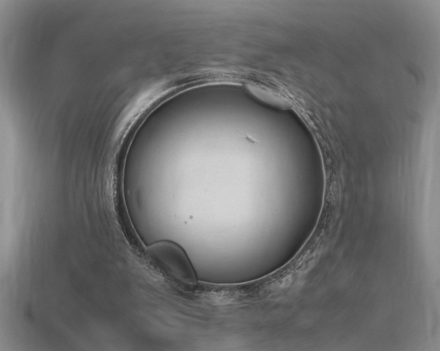 X0000115760103200911131204