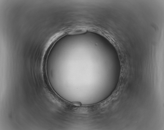 X0000115760104200911131204