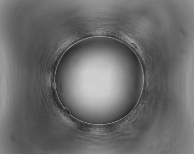 X0000115760105200911131204