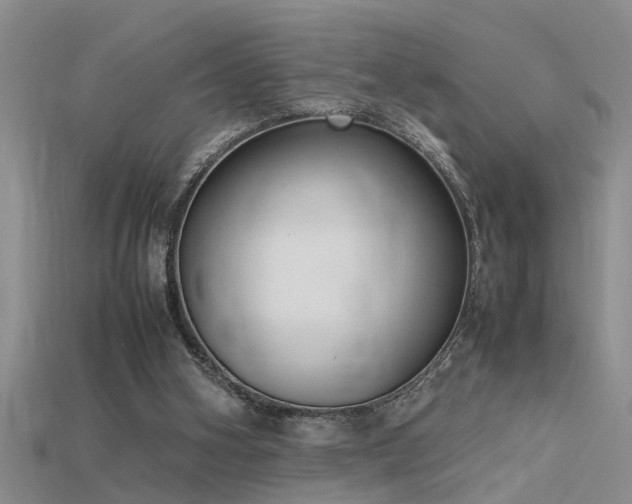 X0000115760106200911131204