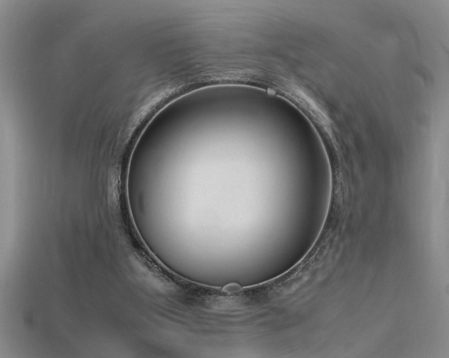 X0000115760107200911131204