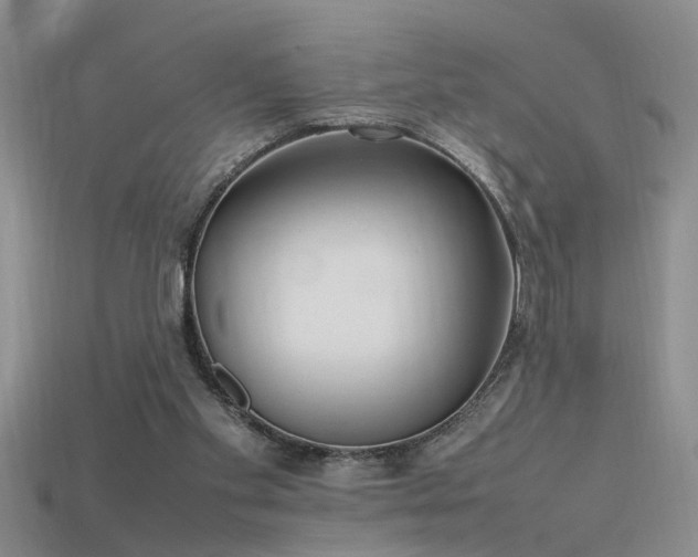 X0000115760109200911131204