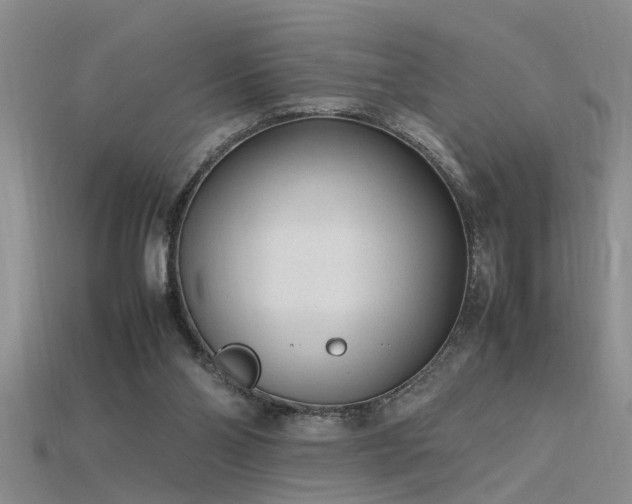 X0000115760110200911131204