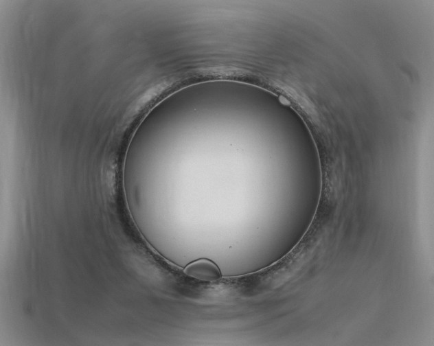 X0000115760111200911131204