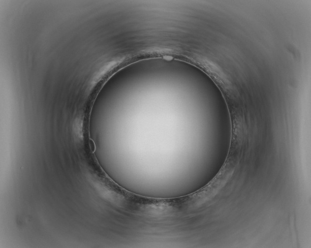 X0000115760112200911131204
