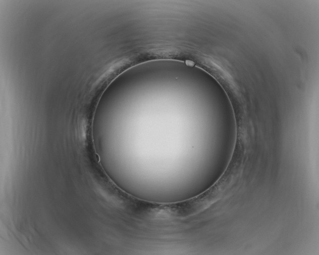 X0000115760115200911131204