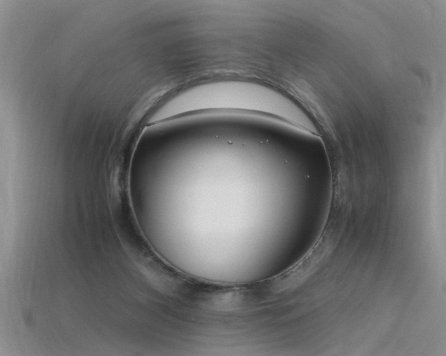 X0000115760116200911131204
