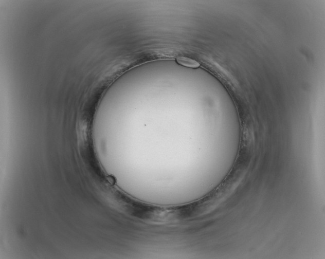 X0000115760117200911131204