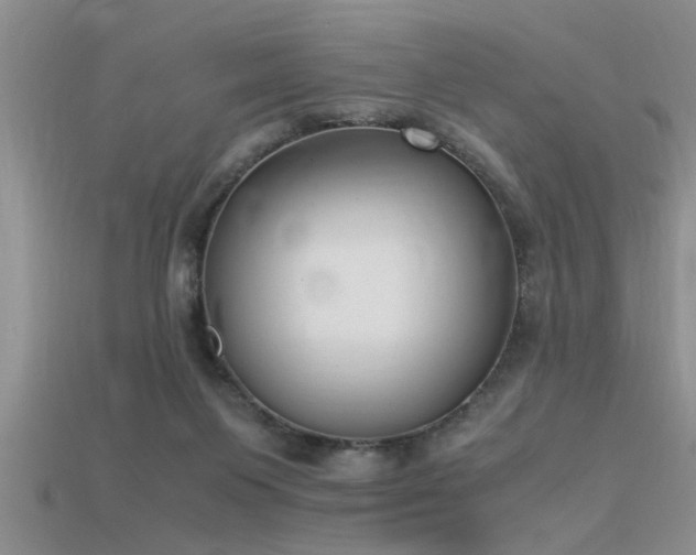 X0000115760119200911131204