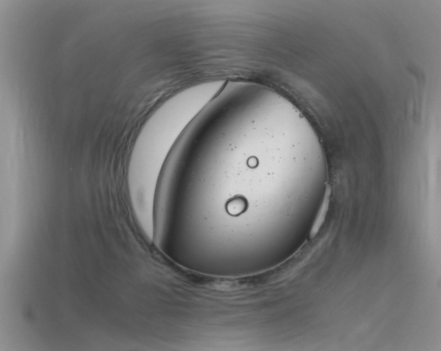 X0000115760121200911131204
