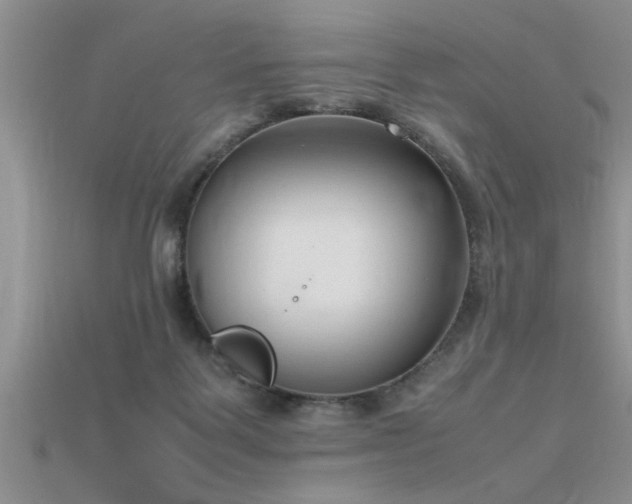 X0000115760123200911131204