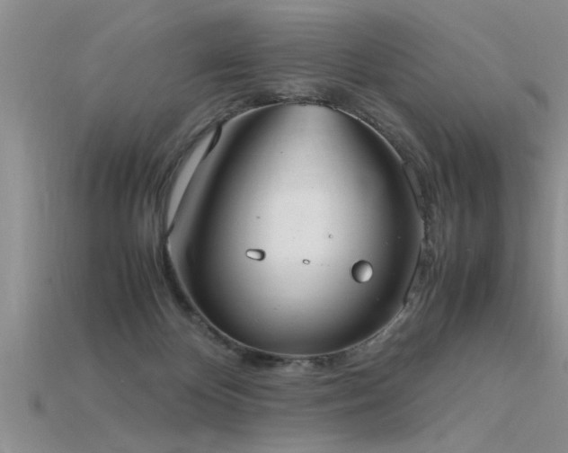 X0000115760124200911131204