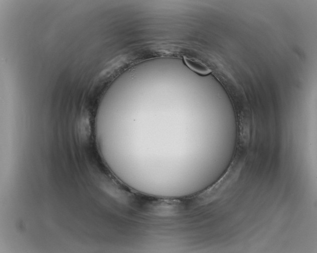 X0000115760128200911131203