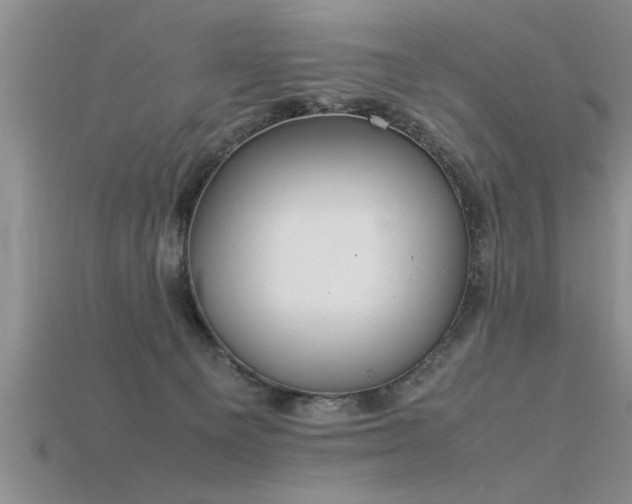 X0000115760129200911131203